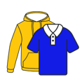 Icons of Polo shirt and Hoodie